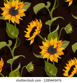 Sunflower vector seamless pattern floral texture on black background