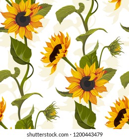 Sunflower vector seamless pattern floral texture on bright background