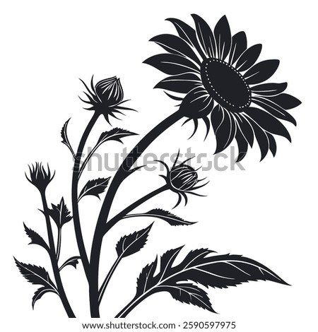 Sunflower vector Silhouette on white bacground