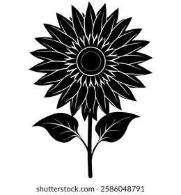 sunflower vector silhouette white background