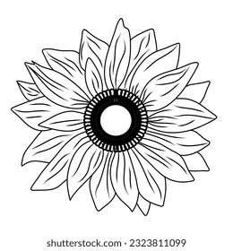 Sunflower vector symbols illustrasion drawn by hands