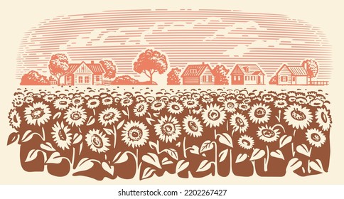 Sunflower in village sketch. Farm landscape