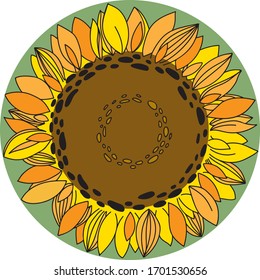 Sunflower vintage engraved illustration. Sunflower isolated . Vector illustration round