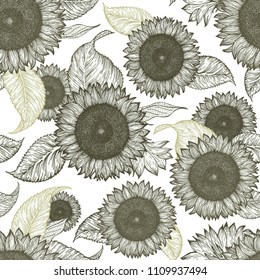 Sunflower vintage seamless pattern. Sunflower retro background. Vector hand drawn illustration.