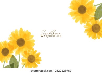 Fundo de girassol aquarela. Coleção de flores amarelas do verão. Ilustração vetorial. Aquarela botânica mão desenhou girassóis, folhas, plantas. 