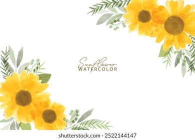 Fundo de girassol aquarela. Coleção de flores amarelas do verão. Ilustração vetorial. Aquarela botânica mão desenhou girassóis, folhas, plantas. 