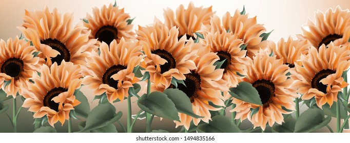 Sunflower watercolor background Vector. Vintage rustic style floral decor