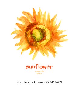Sunflower watercolor isolated on white background, Vector hand drawn botanical illustration, Floral element for design package cosmetic, pattern, greeting card, wedding invitation, garden,florist shop