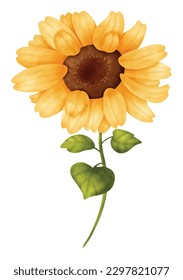 sunflower watercolor vector file , cute cartoon vintage style.