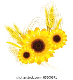 sunflower and wheat background