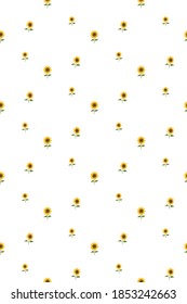 Sunflower white background kids room decor pattern kids decor white background logo design background fashion wedding invitation christmas card retro christmas winter poster font wedding abstract