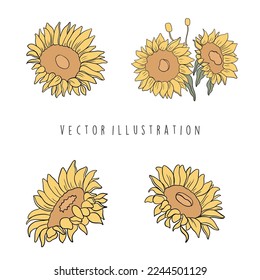 Sunflower with wooden sign, vector illustration