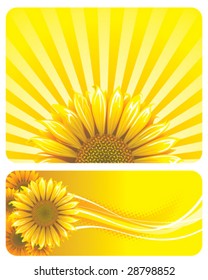 Sunflower and yellow background design. Vector layered.