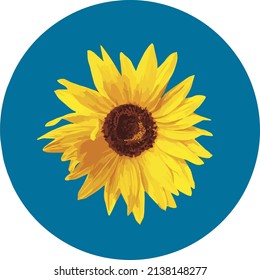 Sunflower Yellow and Blue Color