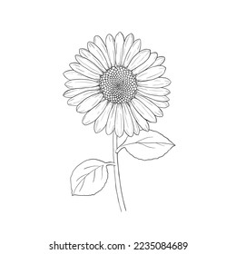 Sunflower. Yellow flower icon. Vector hand drawn outline illustration.