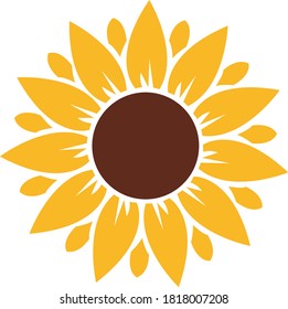sunflower yellow flower vector art 