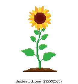 Sunflower yellow floweron a green stem with leaves, pixel art icon, isolated vector illustration. Game assets 8-bit. Design stickers, mobile app, embroidery.