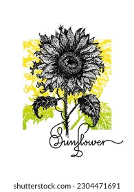 Sunflower Yellow Green Dotwork Lettering. Vector Illustration of Hand drawn Flower. Symbol of Ukraine. Natural Plant with Leaf. Tattoo Sketch.