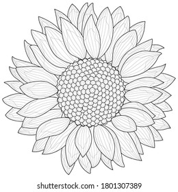 Featured image of post Sunflower Coloring Pages Flowers : Gardening theme various fruits &amp; veggies.