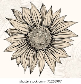 Sunflower.Drawing