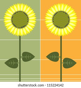 Sunflowers