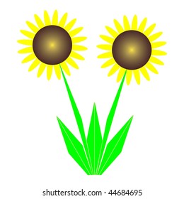 Sunflowers