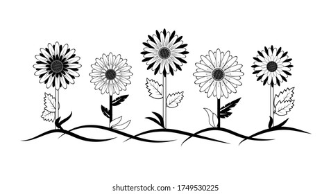Sunflowers abstract flowers vector illustration. Isolated on white background.