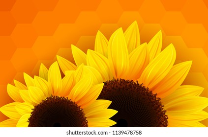 Sunflowers background, romantic flower vector background.