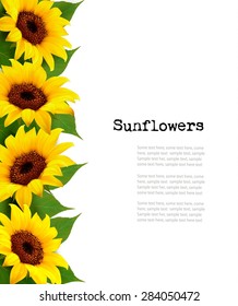 Sunflowers Background With Sunflower And Leaves. Vector