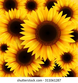 Sunflowers background, vector illustration.