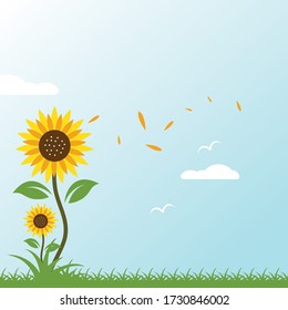 sunflowers background vector illustration design 