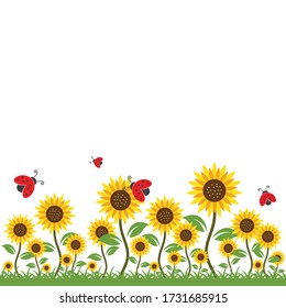 sunflowers background vector illustration design 