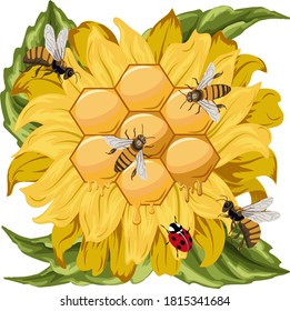 Sunflowers and bees in the illustration.Colored illustration with honeycombs, bees and sunflowers.