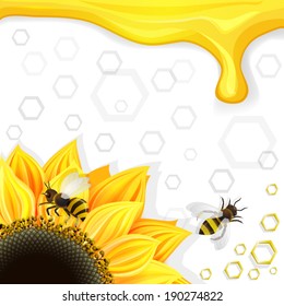 Sunflowers and bees over honeycombs background