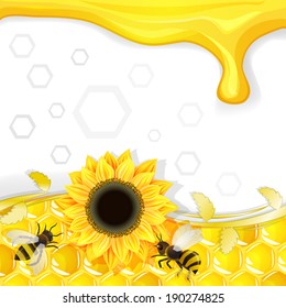 Sunflowers and bees over honeycombs background