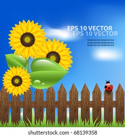 Sunflowers with blue sky. EPS10 vector illustration.