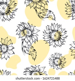 Sunflowers, botanical, nature seamless pattern on white background . Concept for print, wallpapers, wrapping paper, cards 