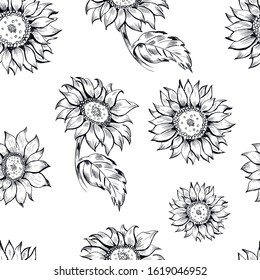 Sunflowers , botanical, nature vector seamless pattern on white background. Concept for print, web design, cards, wallpaper, wrapping paper 