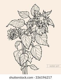 Sunflowers bouquet. Vector graphic flowers, leaves. Hand drawn artwork. Love bohemia concept for wedding invitation, card, ticket, branding, logo, label. Gift for girl, women. Black and white, beige