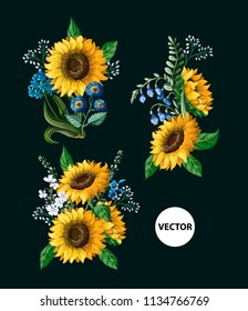 Sunflowers bouquet with wild flower isolated. Vector illustration.