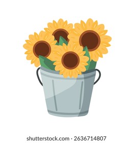 Sunflowers in bucket. Autumn, fall. Flat vector clipart, illustration with isolated background.