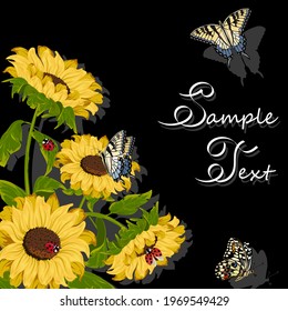 Sunflowers and butterflies in the illustration.Yellow sunflowers and butterflies on a black background in vector illustration.