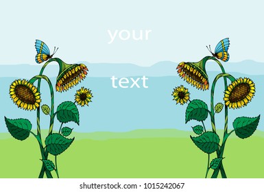Sunflowers with a butterfly. On a colored background. With free place for text