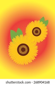 Sunflowers collection. Vector Illustration