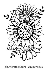 Sunflowers. Composition of three large flowers with petals, leaves. Trendy summer print, floral background. Outline drawing for printing and cutting on plotter. Vector illustration isolated on white