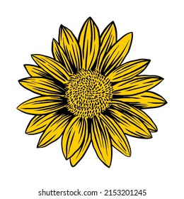 sunflowers, Design element for logo, poster, card, banner, emblem, t shirt. Vector illustration