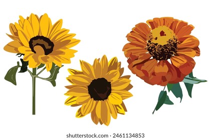 Sunflowers from different view and one orange flower isolated on a white background.