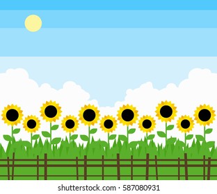 sunflowers field beautiful landscape in flat style