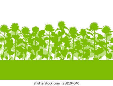 Sunflowers field vector background ecology green concept