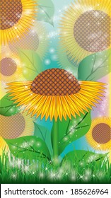 Sunflowers floral background. vector illustration